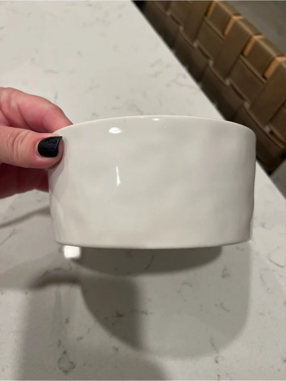 NWT Rae Dunn Nibble Dog Food/Water Bowl